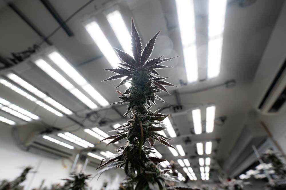 KHD02035