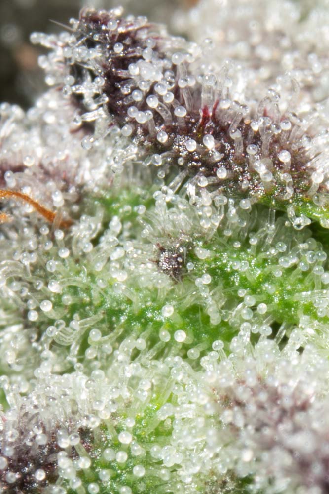 KHD02055