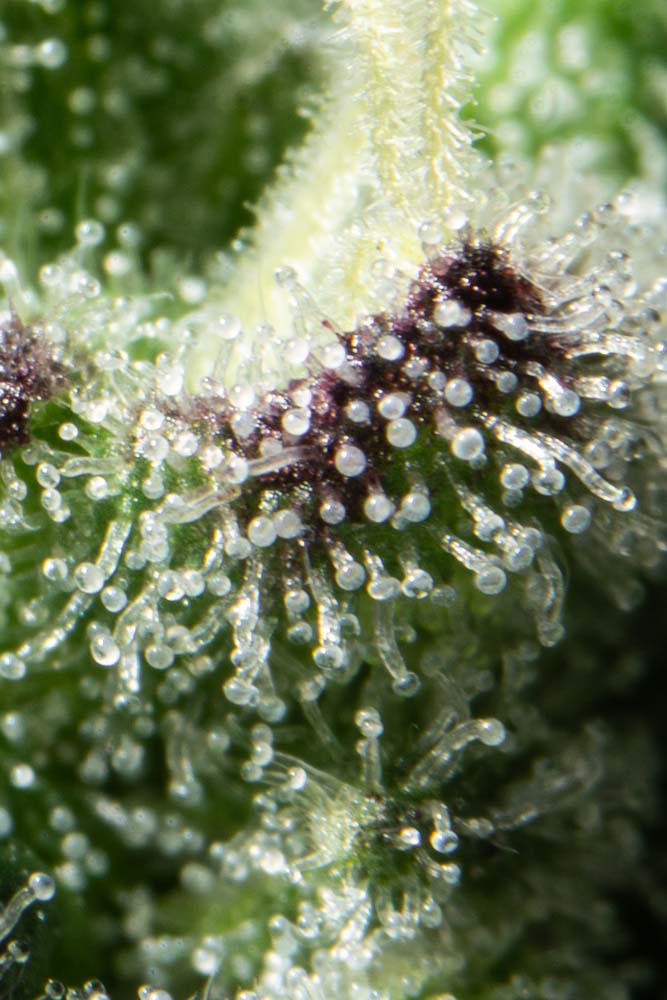 KHD02057