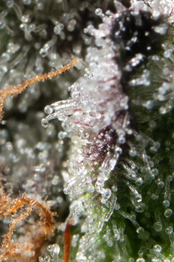 KHD02058