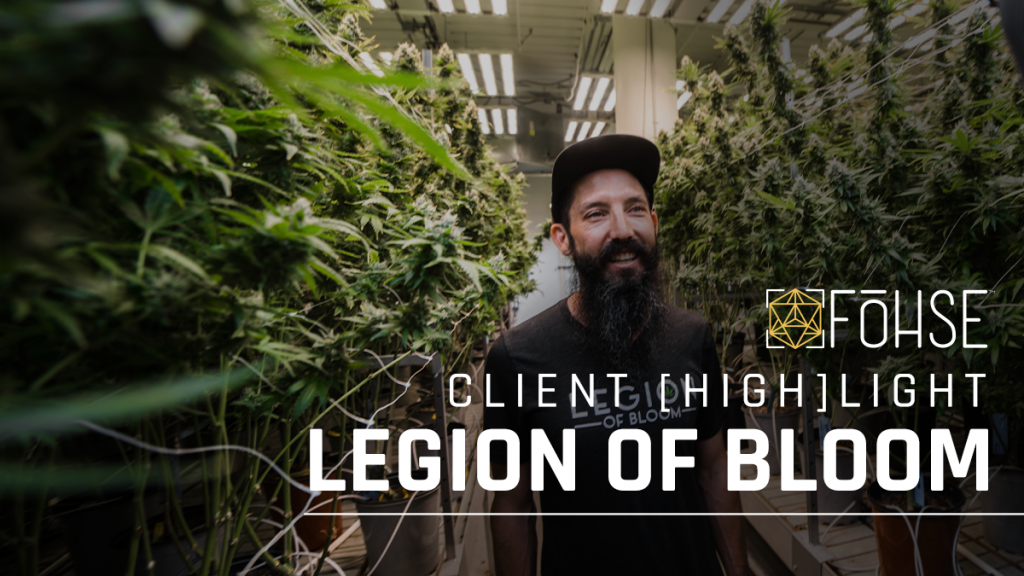 Transitioning To High Output LEDs | Legion Of Bloom Client [HIGH]LIGHT ?
