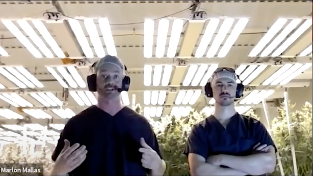 Grower Spotlight Interview Series: Lume Cannabis ?