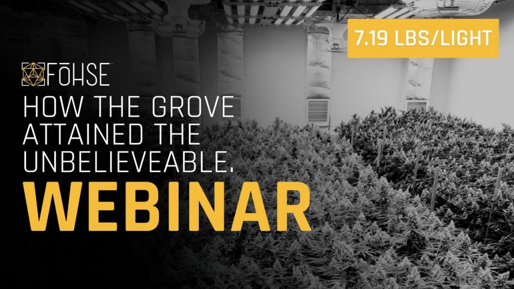 Creating an Efficient Cultivation Facility With Fohse LEDs | NorCal Cannabis [HIGH]LIGHT